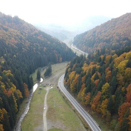 Pensiunea Bradului Colibita Bagian luar foto