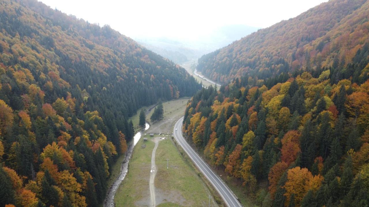 Pensiunea Bradului Colibita Bagian luar foto